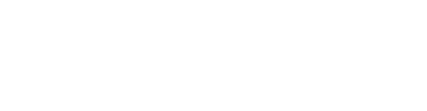 BioSante Inc.